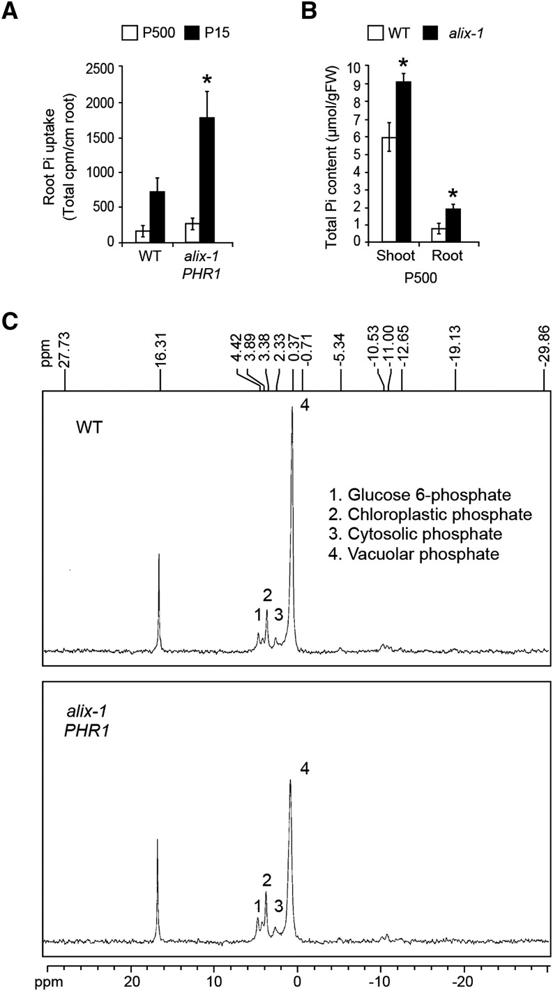 Figure 9.