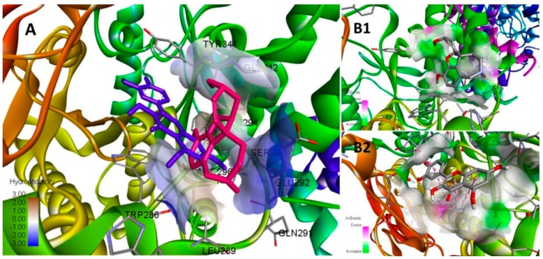 Figure 11