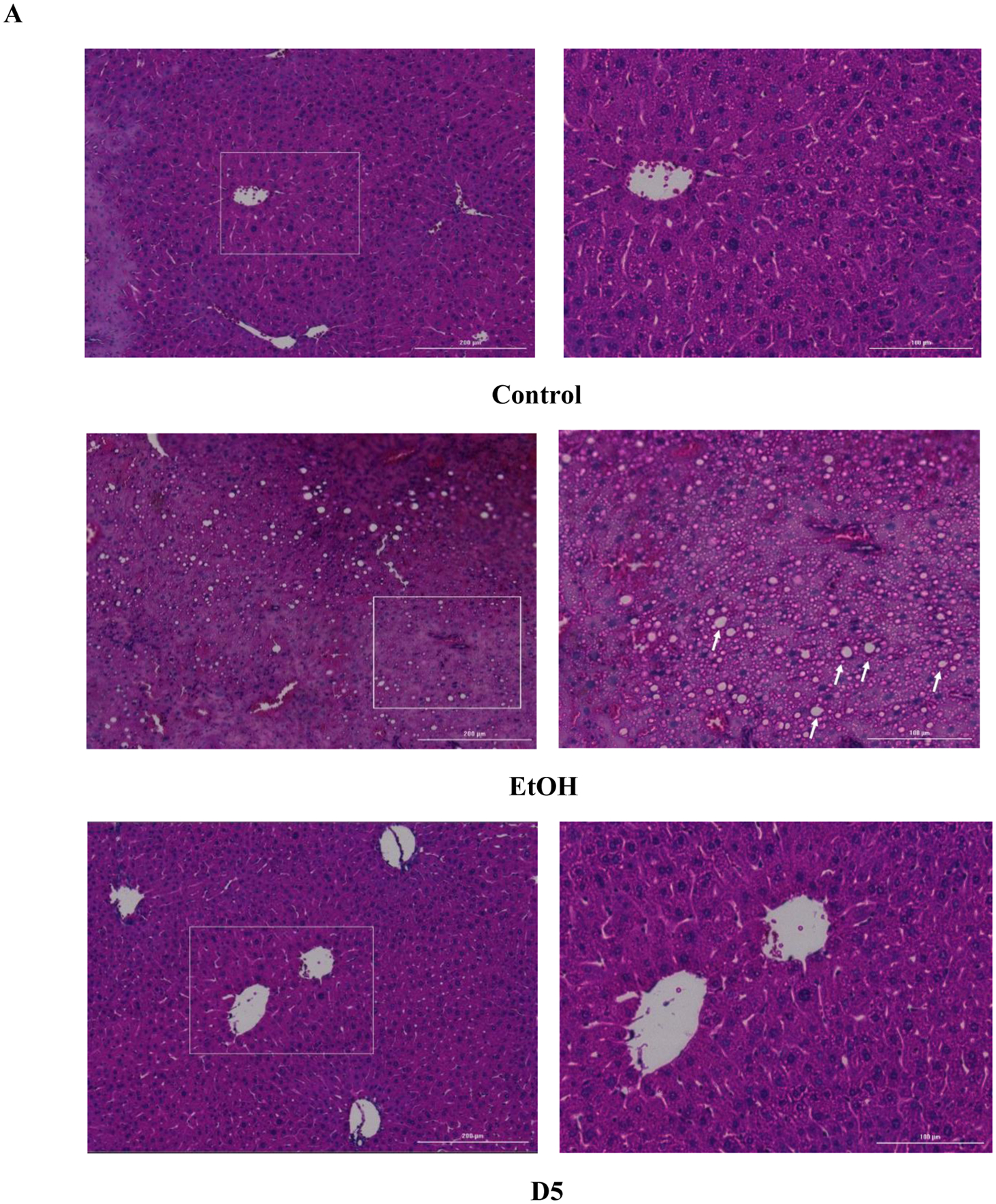 Fig 1.