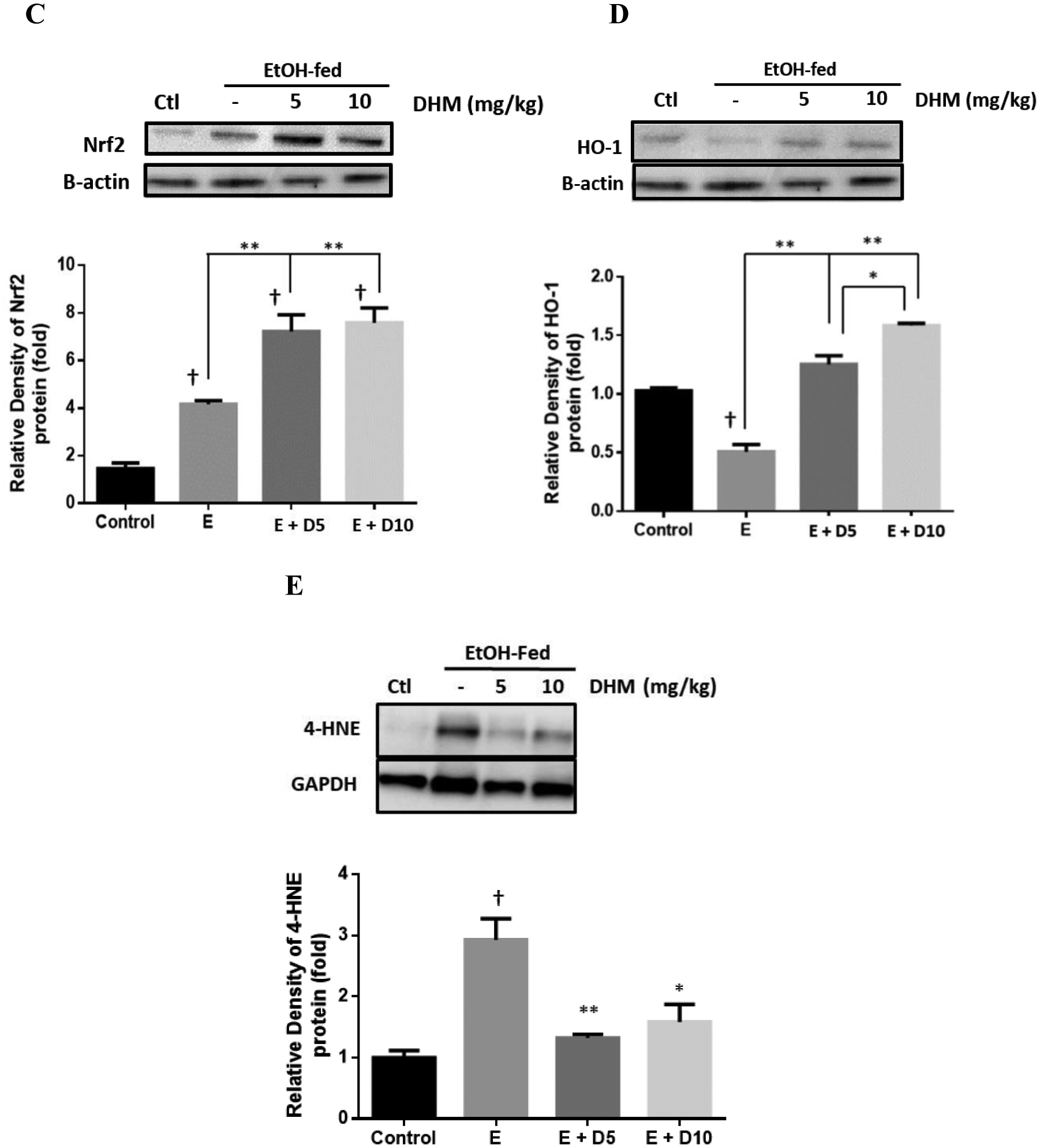 Fig 6.