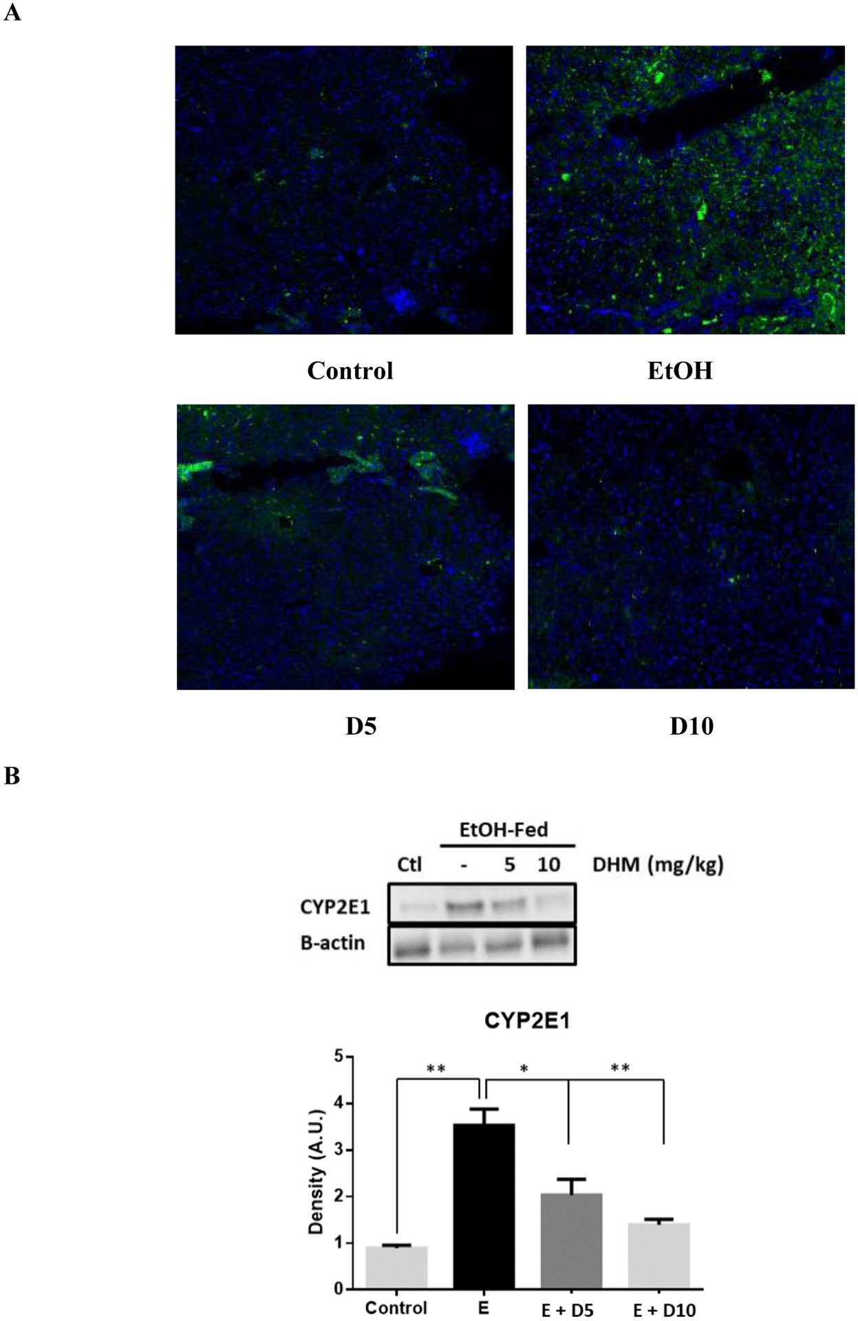 Fig 6.