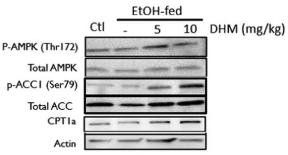 Fig 3.