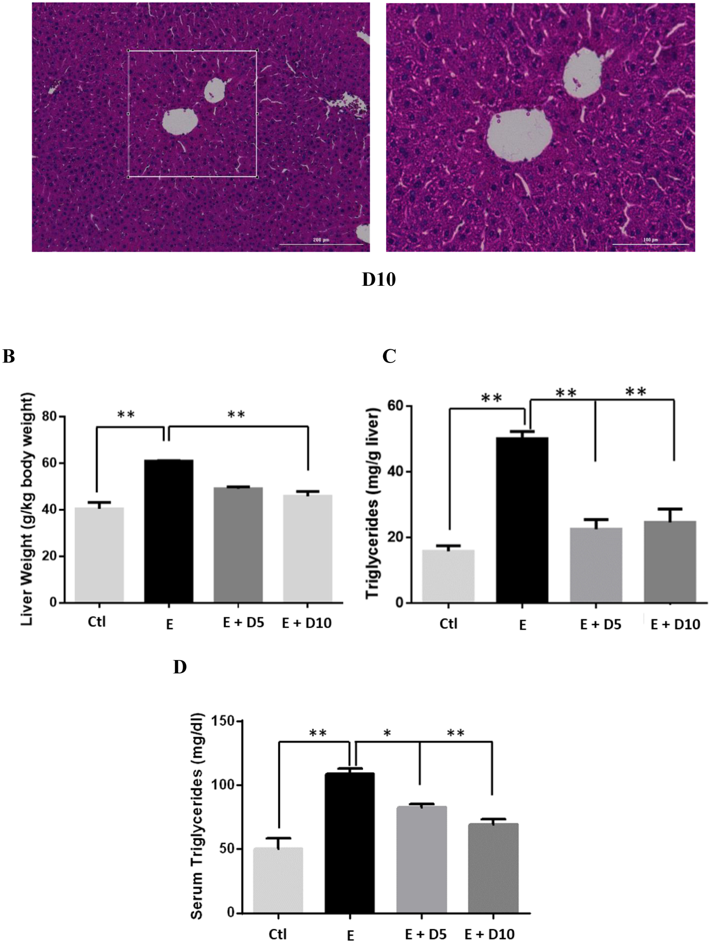 Fig 1.