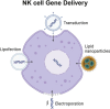 Graphical Abstract