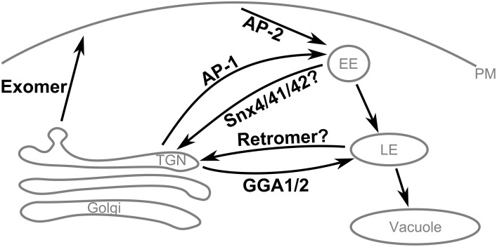 Figure 7