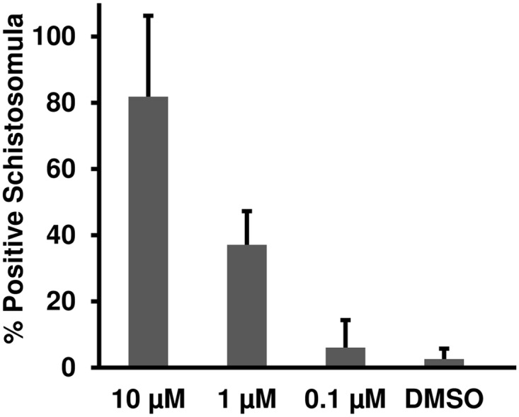 Fig 10