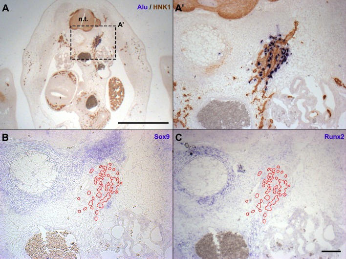 Fig. 3.