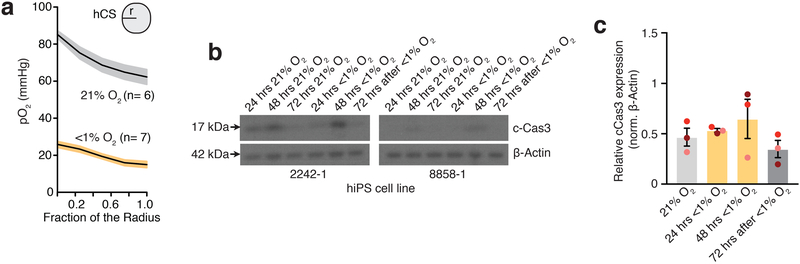 Extended Data Fig. 1