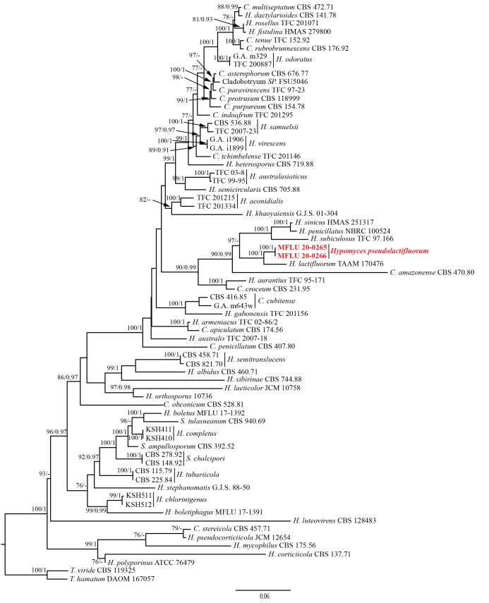 Figure 2.