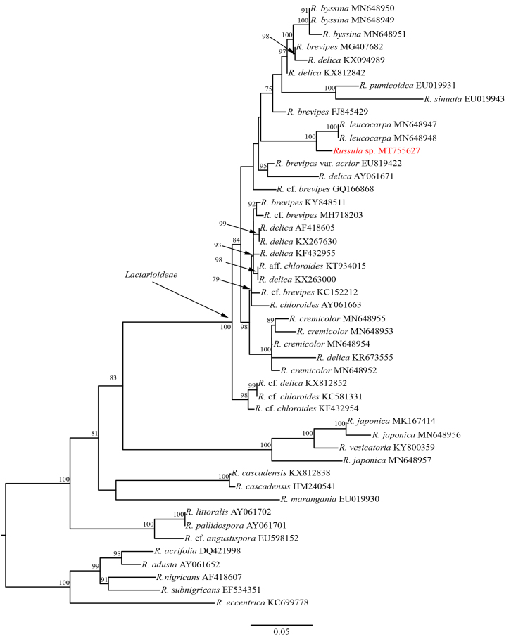 Figure 3.