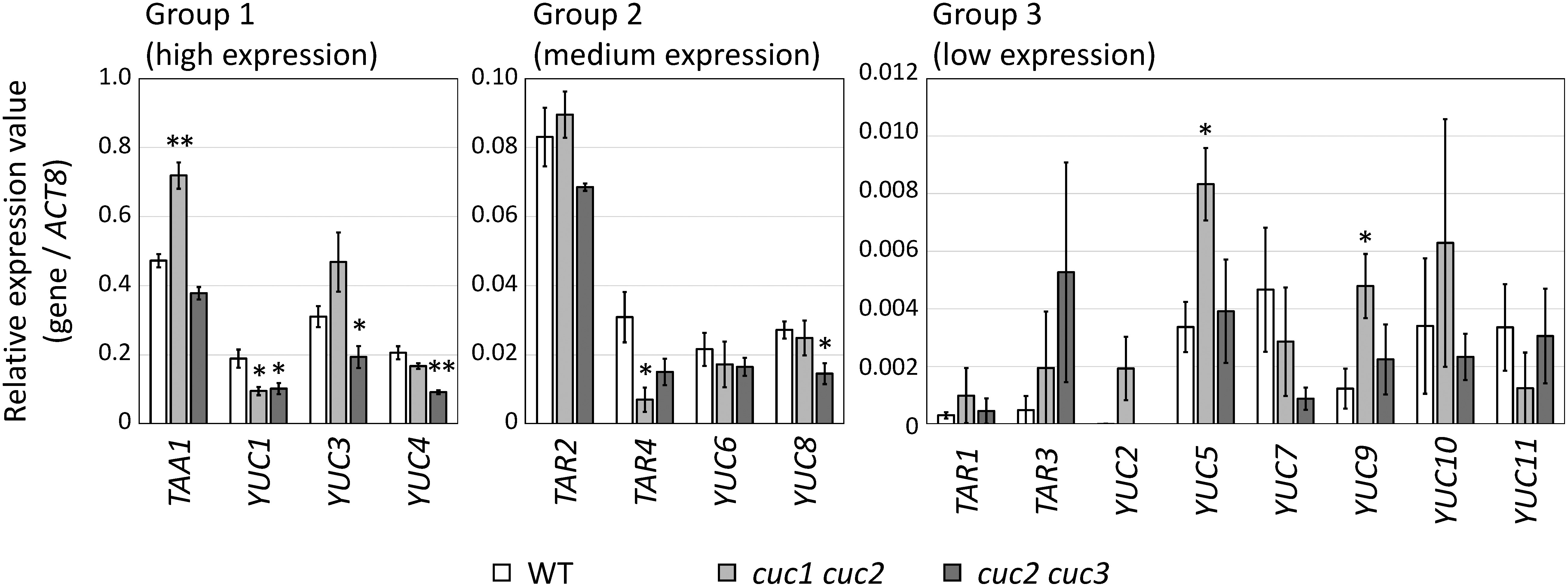 Figure 1. Expression level of auxin biosynthetic genes in the heart-stage embryos of WT, cuc1 cuc2, and cuc2 cuc3. Each gene was classified according to its relative expression value (see main text). Means±SE from four biological replicates are shown. Single and double asterisks indicate p<0.05 and p<0.01, respectively, compared with the WT and cuc double mutants (Welch’s t-test).