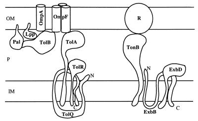 FIG. 1