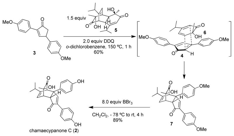 Scheme 2