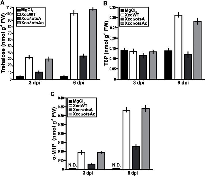 Fig. 6.