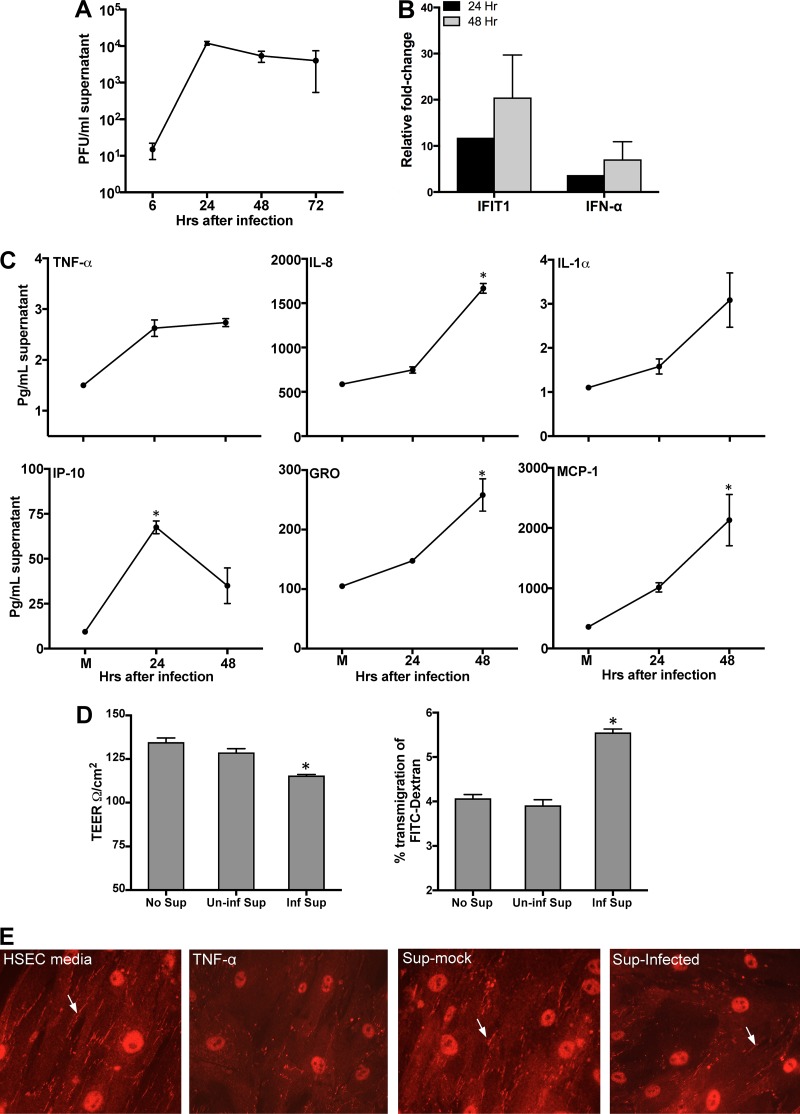 FIG 6