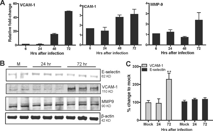 FIG 3