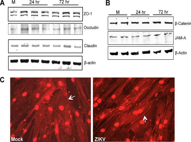 FIG 4