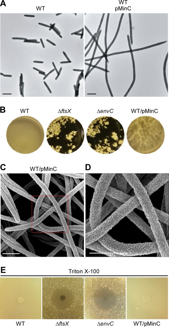 FIG 6 