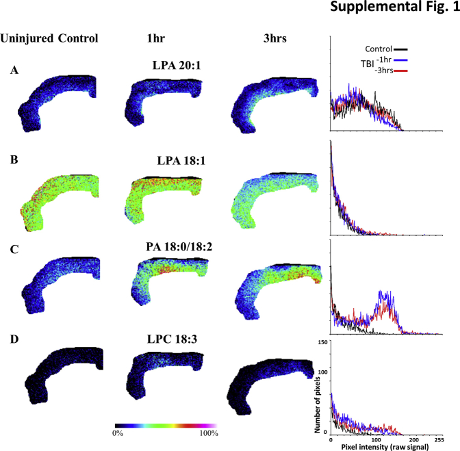 Supplemental Figure S1