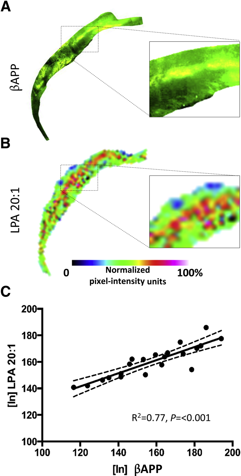 Figure 7