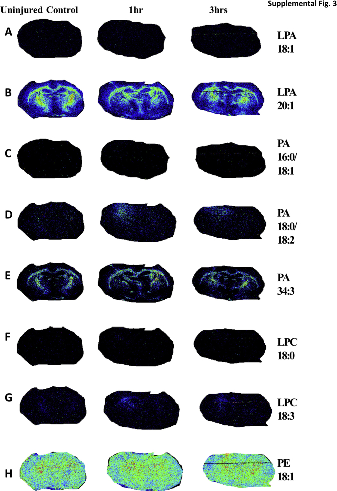 Supplemental Figure S3