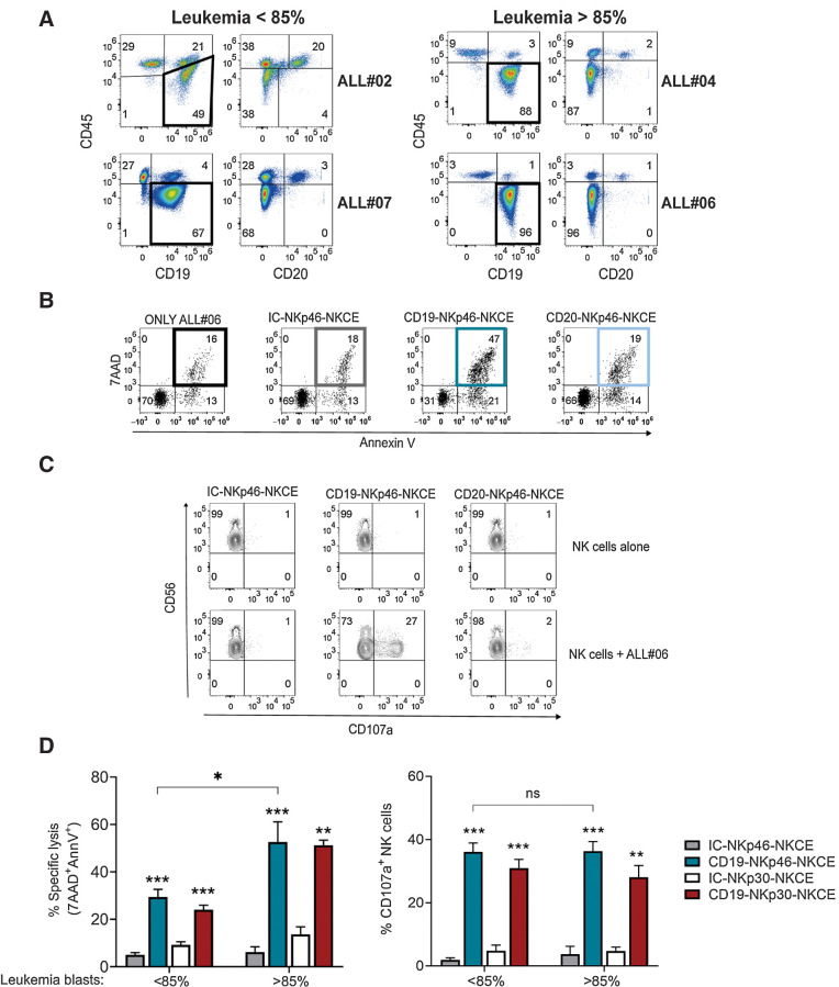 Figure 3. Effect of NKCEs targeting CD19 or CD20 on primary BCP-ALL cells. A, Phenotypic characterization via flow cytometry of four BCP-ALL primary leukemia samples, using CD45-APC-Vio770, CD19-PE-Cy7, and CD20-V450. B, 7AAD/AnnV staining of cells from sample ALL#06 cultured either alone (only ALL#06) or with resting NK cells from a representative healthy donor and the indicated NKCEs (100 μg/mL). C, CD107a expression of NK cells cultured either alone or with cells from ALL#06 in the presence of IC-NKp46-NKCE, CD19-NKp46-NKCE, or CD20-NKp46-NKCE (100 μg/mL). A representative experiment is shown. Numbers indicate the percentage of cells in each quadrant. D, Percent of specific lysis of CD19+ leukemia blasts (left) and CD107a degranulation (right) of resting NK cells from healthy donors (n = 3–6) upon coculture with primary leukemia blasts and NKCEs at 100 μg/mL as indicated. Data obtained with target cells containing leukemia blasts <85% (ALL#02 and ALL#07) or >85% (ALL#04 and ALL#06) were pooled. Results from 2–5 independent experiments are reported. The incubation time for all the tests was 4 hours. Bar show mean ± SEM. Statistical significance: *, P ≤ 0.05; **, P ≤ 0.01; ***, P ≤ 0.001. Mann–Whitney test was used to calculate statistical differences.