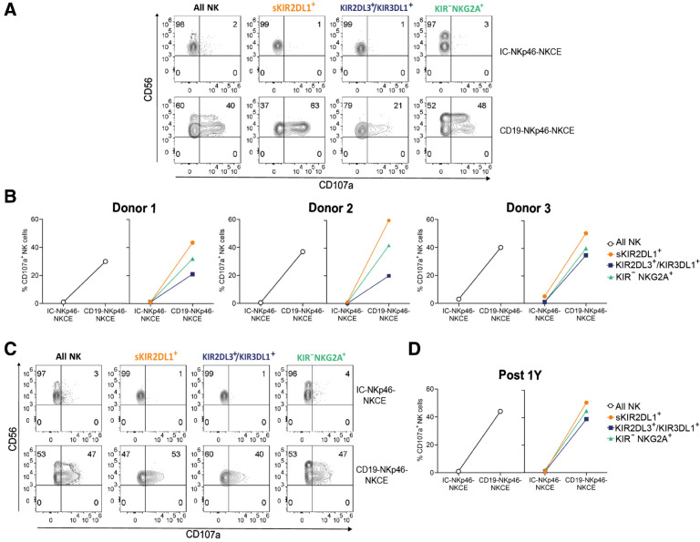 Figure 5. NKCEs override HLA-I inhibitory interactions. Degranulation activity of NK cells (All NK, gating on CD3−CD56+) and different NK-cell subsets [single (s)KIR2DL1+, KIR2DL3+/KIR3DL1+, and KIR−NKG2A+, identified by appropriate gating strategy reported in Supplementary Fig. S1] from healthy donors (n = 3) or transplanted patient (n = 1) upon 4-hour coculture with MHH-CALL-4 cells in presence of IC-NKp46- or CD19-NKp46-NKCE at 100 μg/mL. Results from three independent experiments are reported. A, Contour plot of a representative donor showing the degranulation of different NK-cell subsets in the presence of the target cells and NKCEs. Numbers indicate the percentage of cells in each quadrant. B, Data from 3 healthy donors are reported. C and D, Degranulation of NK-cell subsets from 1 patient 1-year after haplo-HSCT. C, Contour plot of flow cytometry (raw data). D, Graphical representation.