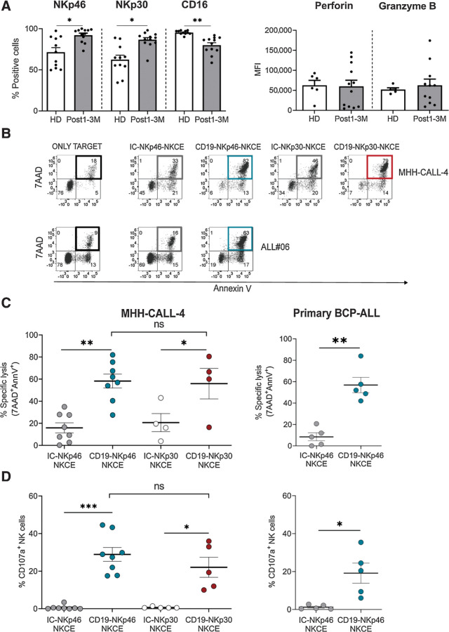 Figure 4. CD19-NKCEs efficiently promote NK-cell antileukemia activity in a transplantation setting. A, Evaluation of NKp46, NKp30, CD16, perforin, and granzyme B expression in NK cells from transplanted patients (Post1–3M; n = 12) and healthy donors (HD; n = 5–11). B, Representative experiment of cytototoxicity (7AAD/AnnV staining). MHH-CALL-4 or ALL#06 primary leukemia target cells were cultured either alone (only target) or with resting NK cells from a transplanted patient (3 months after haplo-HSCT) and the indicated NKCEs (100 μg/mL). Numbers indicate the percentage of cells in each quadrant. Percent of specific lysis (7AAD/AnnV staining; C) and CD107a degranulation of resting NK cells (D) from transplanted patients against MHH-CALL-4 (left) or primary leukemia blasts (ALL#04 and ALL#06; right) in the presence of the indicated NKCE at 100 μg/mL. Pooled data obtained with primary leukemia blasts are shown. Results from 5–8 independent experiments are reported. The incubation time for all the tests was 4 hours. Bar show mean ± SEM. Statistical significance: *, P ≤ 0.05; **, P ≤ 0.01; ***, P ≤ 0.001. Mann–Whitney test was used to calculate statistical differences.