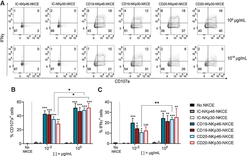 Figure 2. NKCEs enhance NK-cell activity against MHH-CALL-4 cell line. CD107a expression and IFNγ production by resting NK cells from healthy donors (n = 3–6) cocultured for 6 hours with MHH-CALL-4 cells in the absence or presence of CD19-NKCEs, CD20-NKCEs, or the control molecules (IC-NKp46-NKCE, IC-NKp30-NKCE) at 10−2 μg/mL and 100 μg/mL. A, Flow cytometry of a representative experiment is shown. Numbers indicate the percentage of cells in each quadrant. CD107a expression (B) and IFNγ production (C) were performed in 3–6 independent experiments. Bars show mean ± SEM. Statistical significance: *, P ≤ 0.05; **, P ≤ 0.01; ***, P ≤ 0.001. Two-way ANOVA followed by Tukey test was used to calculate statistical differences among the indicated NKCEs within each concentration. Mann–Whitney test was used to compare each NKCE at the two indicated concentrations.