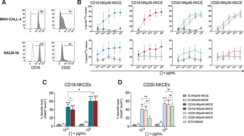 Figure 1. Effect of NKCEs targeting CD19 or CD20 on BCP-ALL cell lines. A, Two pediatric BCP-ALL cell lines were characterized for the surface expression of CD19 and CD20 via flow cytometry using specific mAbs followed by PE-conjugated anti-IgG1 secondary reagent. Numbers represent the percentage of positive cells. B, Comparison of cytotoxicity (51Cr-release assay) of resting NK cells from healthy donors against MHH-CALL-4 (top row, n = 2–6) or NALM-16 (bottom row, n = 3) cells in the presence of NKCEs at the indicated concentrations (see legend for color symbols in D). E:T ratios were 10:1 and 5:1 for MHH-CALL-4 cells and NALM-16 cells, respectively. Percent of specific lysis, via 7AAD/AnnV staining, of MHH-CALL-4 cells cocultured with resting NK cells from healthy donors (n = 4–9) in the presence of CD19-NKCEs or IC-NKCEs (C), and CD20-NKCEs, IC-NKCEs, or rituximab (D) at 10−2 μg/mL and 100 μg/mL. Results from 6–10 independent experiments are reported. In both cytotoxicity assays, 4-hour coculture was performed. Bars show mean ± SEM. Statistical significance: *, P ≤ 0.05; **, P ≤ 0.01; ***, P ≤ 0.001. Two-way ANOVA followed by Tukey test was used to calculate statistical differences among the indicated NKCEs within each concentration. Mann–Whitney test was used to compare each NKCE at the two indicated concentrations.