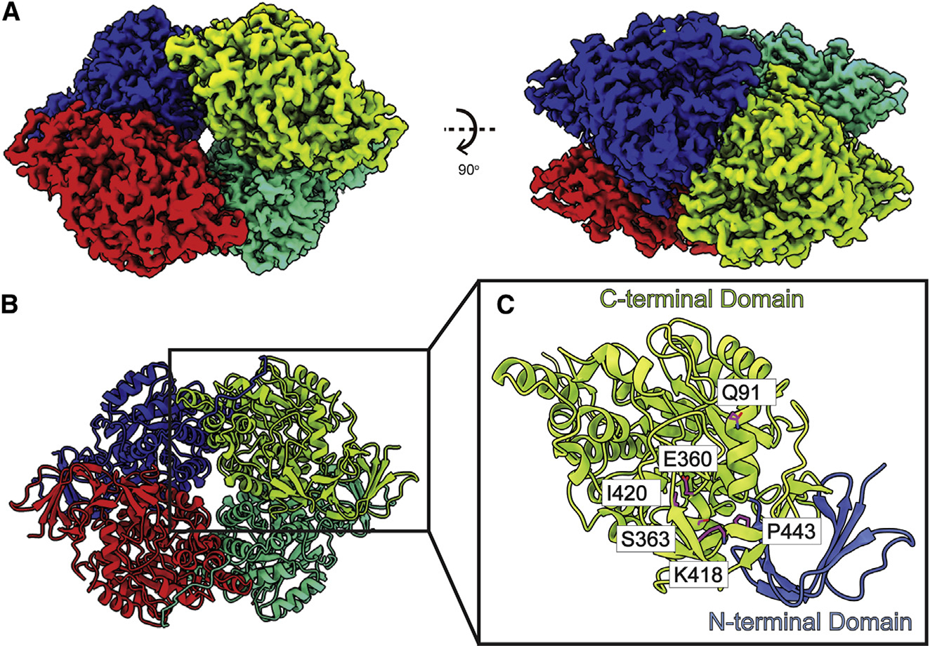 Figure 5.