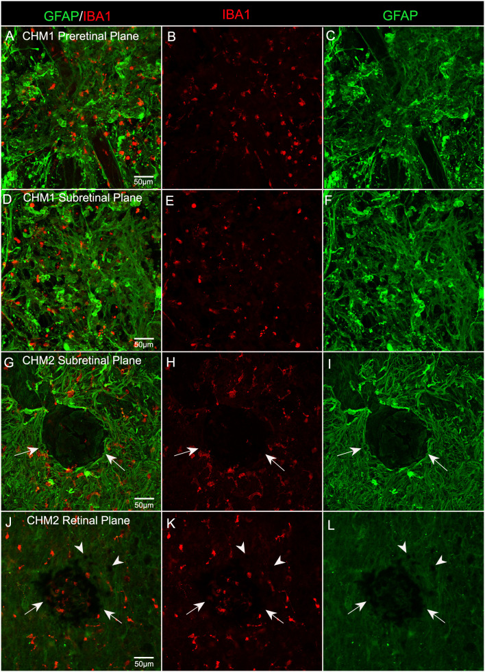 Figure 7