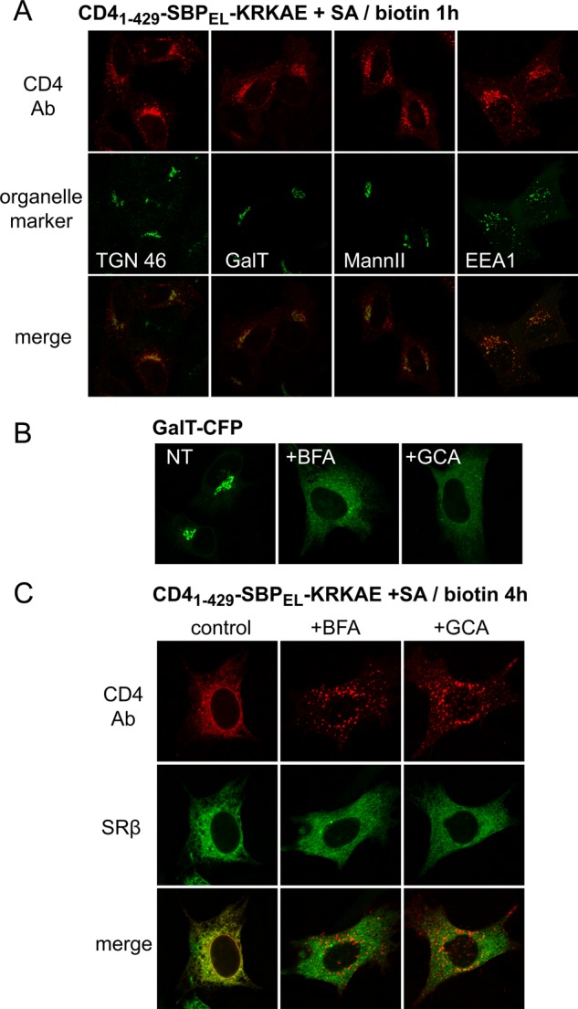 FIGURE 9: