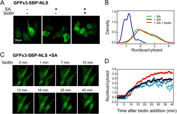 FIGURE 2: