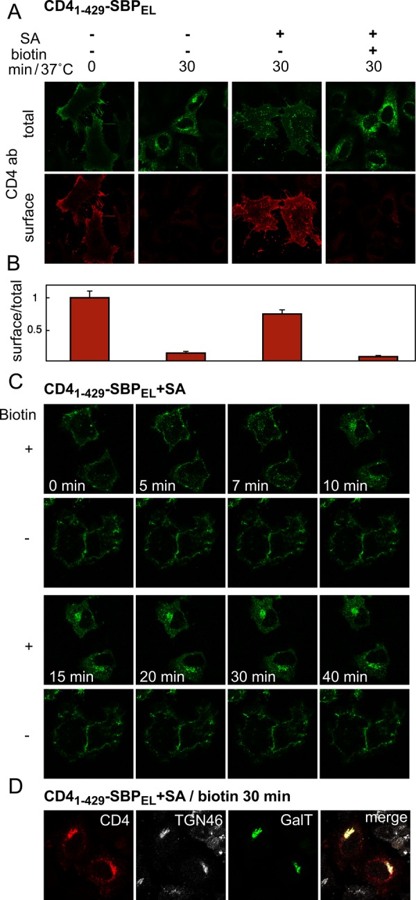 FIGURE 7: