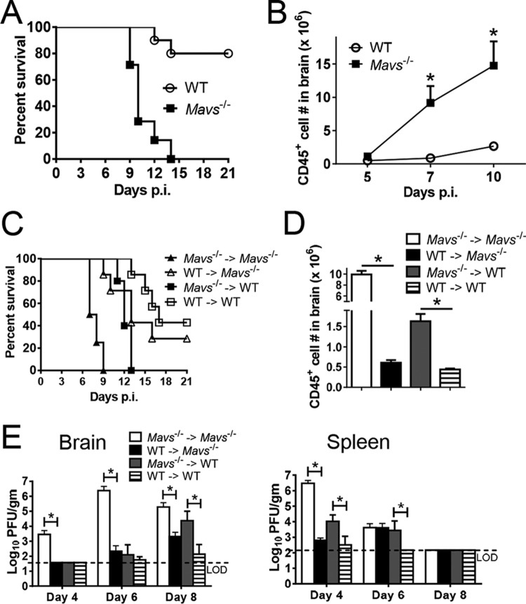 FIG 1