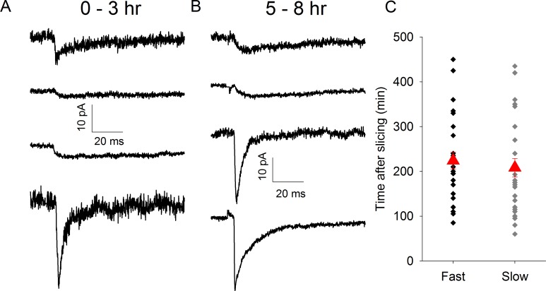 Fig 5