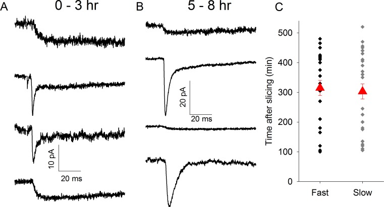 Fig 4