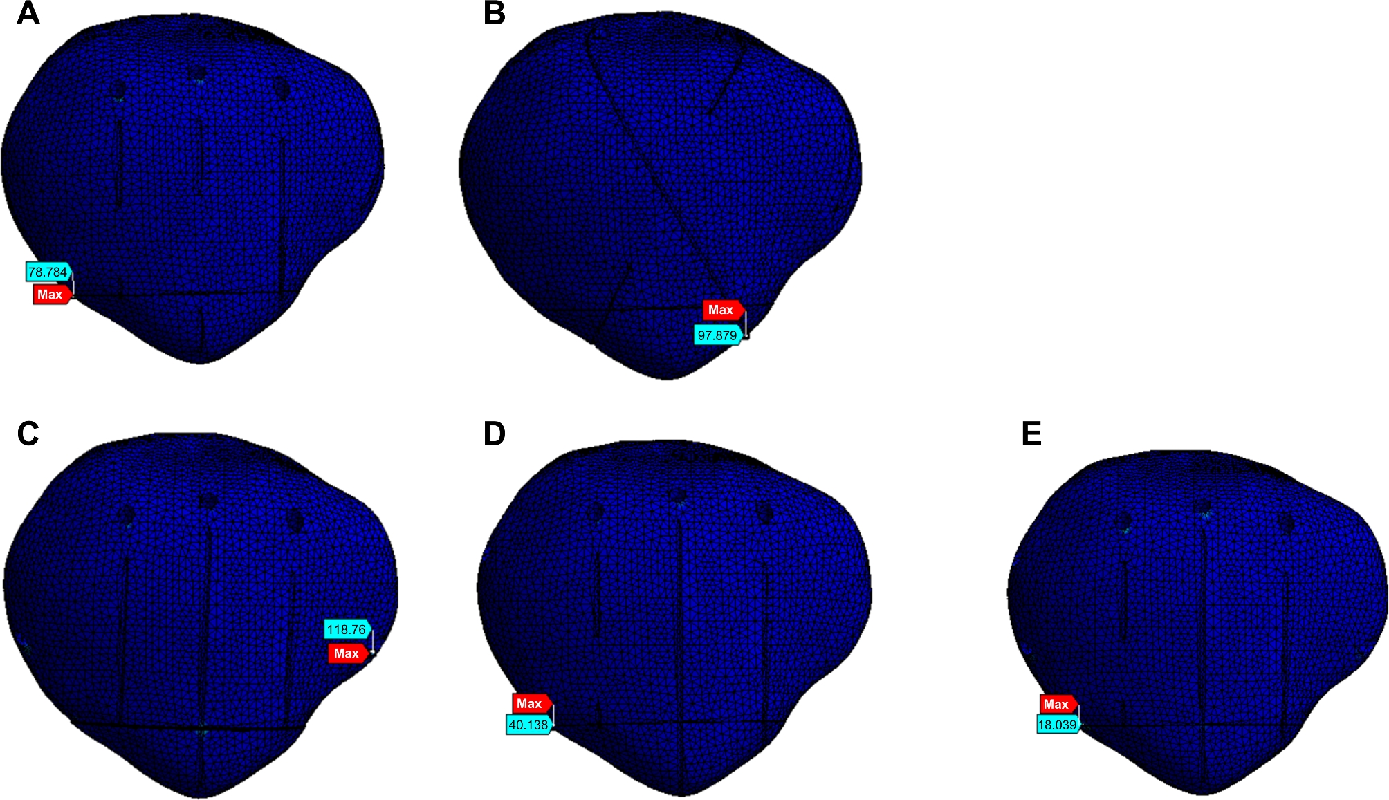 Fig. 7