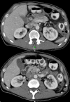 Fig. 9