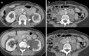 Fig. 10