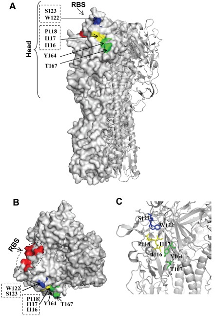 Figure 4