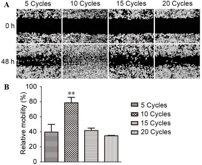 Figure 1.