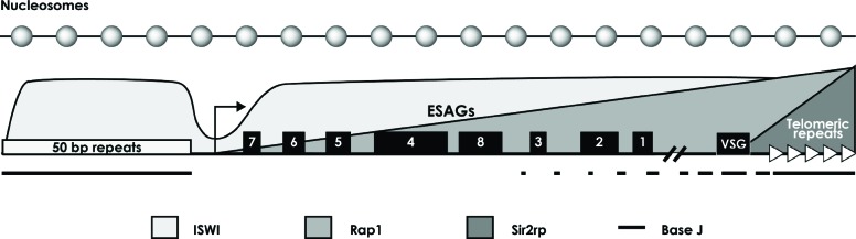 Fig. (3)