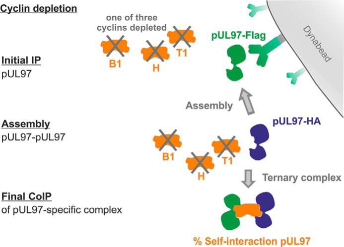 Figure 10.