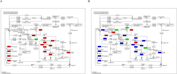 Fig 6