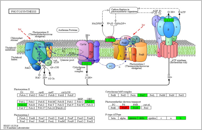 Fig 4