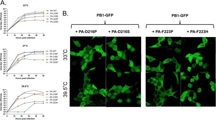 FIG 10