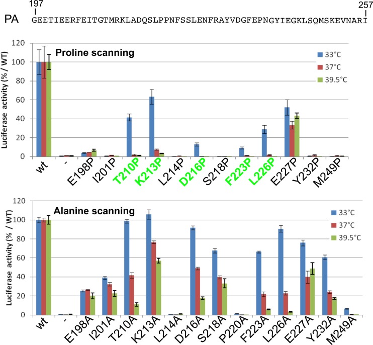 FIG 6