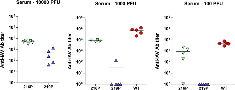 FIG 12